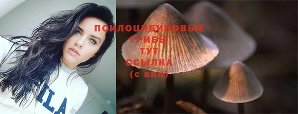 гашик Арсеньев