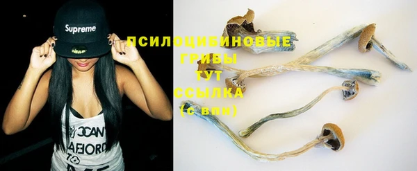 гашик Арсеньев