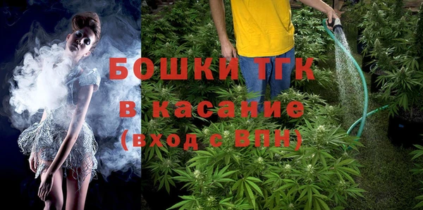 гашик Арсеньев