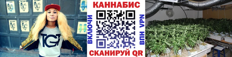 Бошки марихуана сатива  купить   omg как войти  Белогорск 